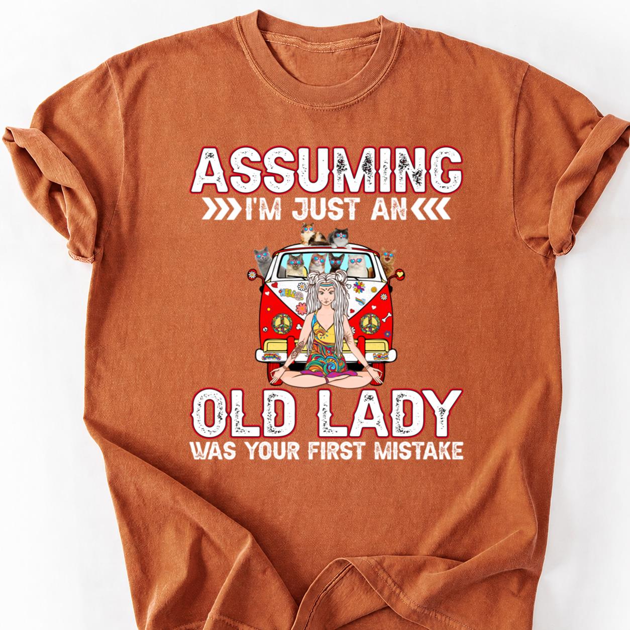 Assuming Im Just An Old Lady Cat Tee