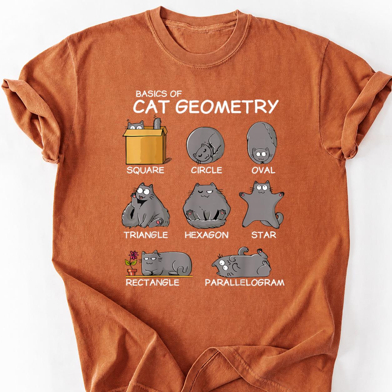 Basics Cat Geometry Shapes Tee