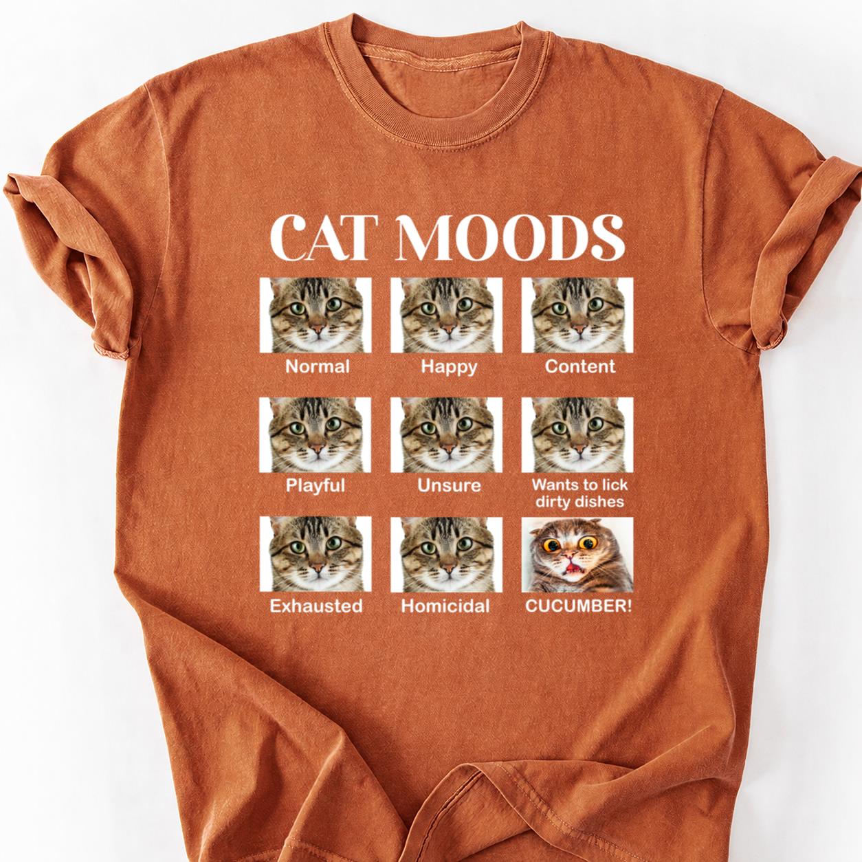 Cat Moods Chart Homicidal Cucumber Tee