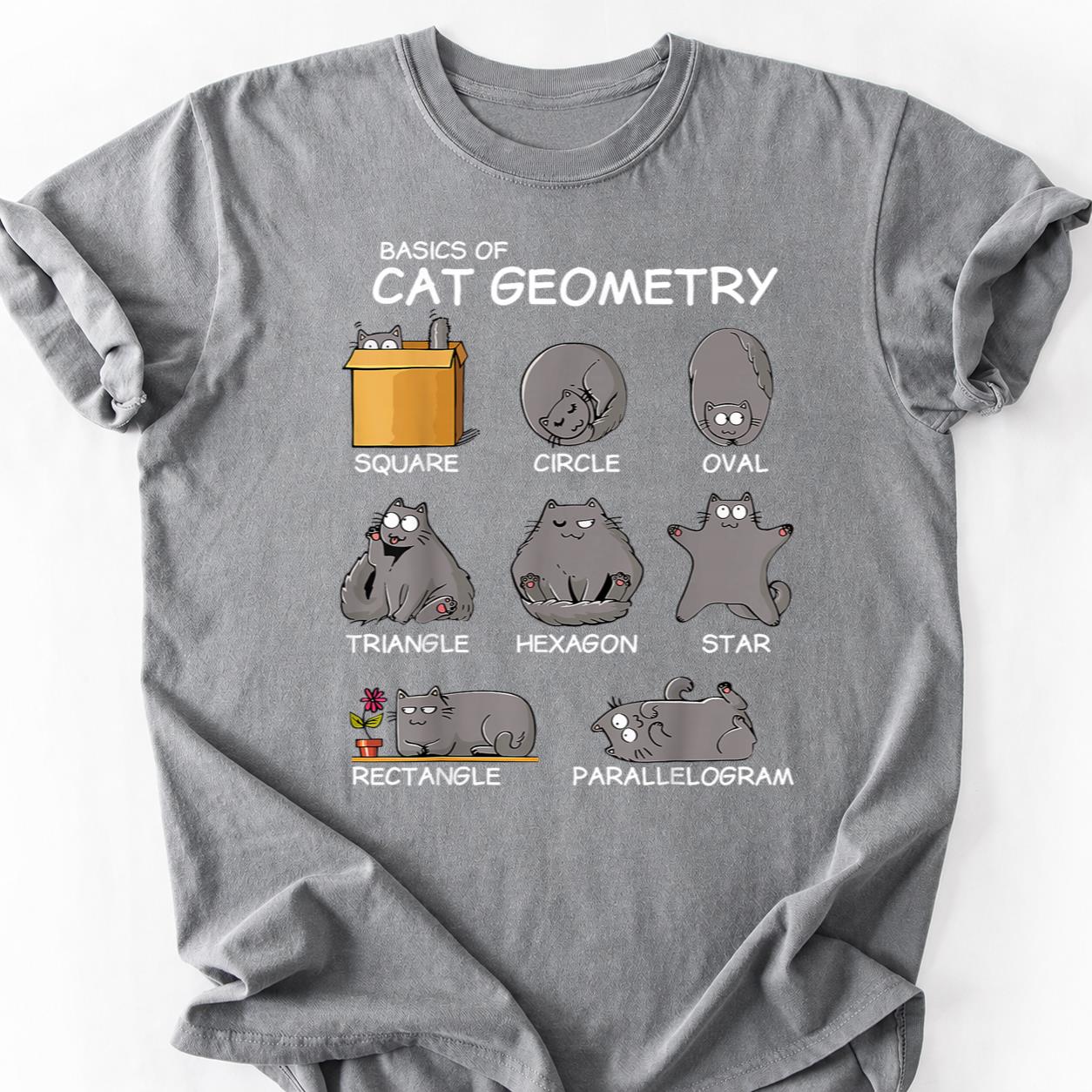 Basics Cat Geometry Shapes Tee