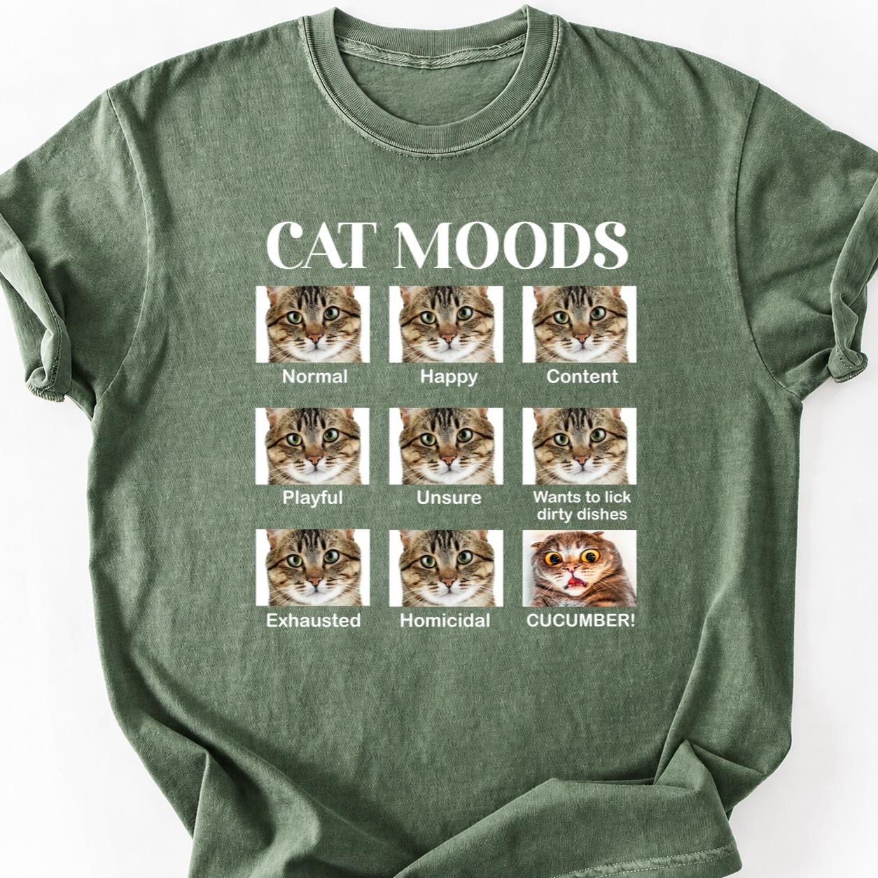 Cat Moods Chart Homicidal Cucumber Tee